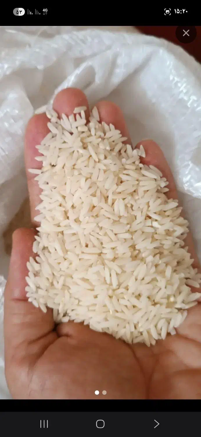 برنج محل اصل .کاظمی. موجود است .دو تن|عمدهفروشی|بروجرد, |دیوار