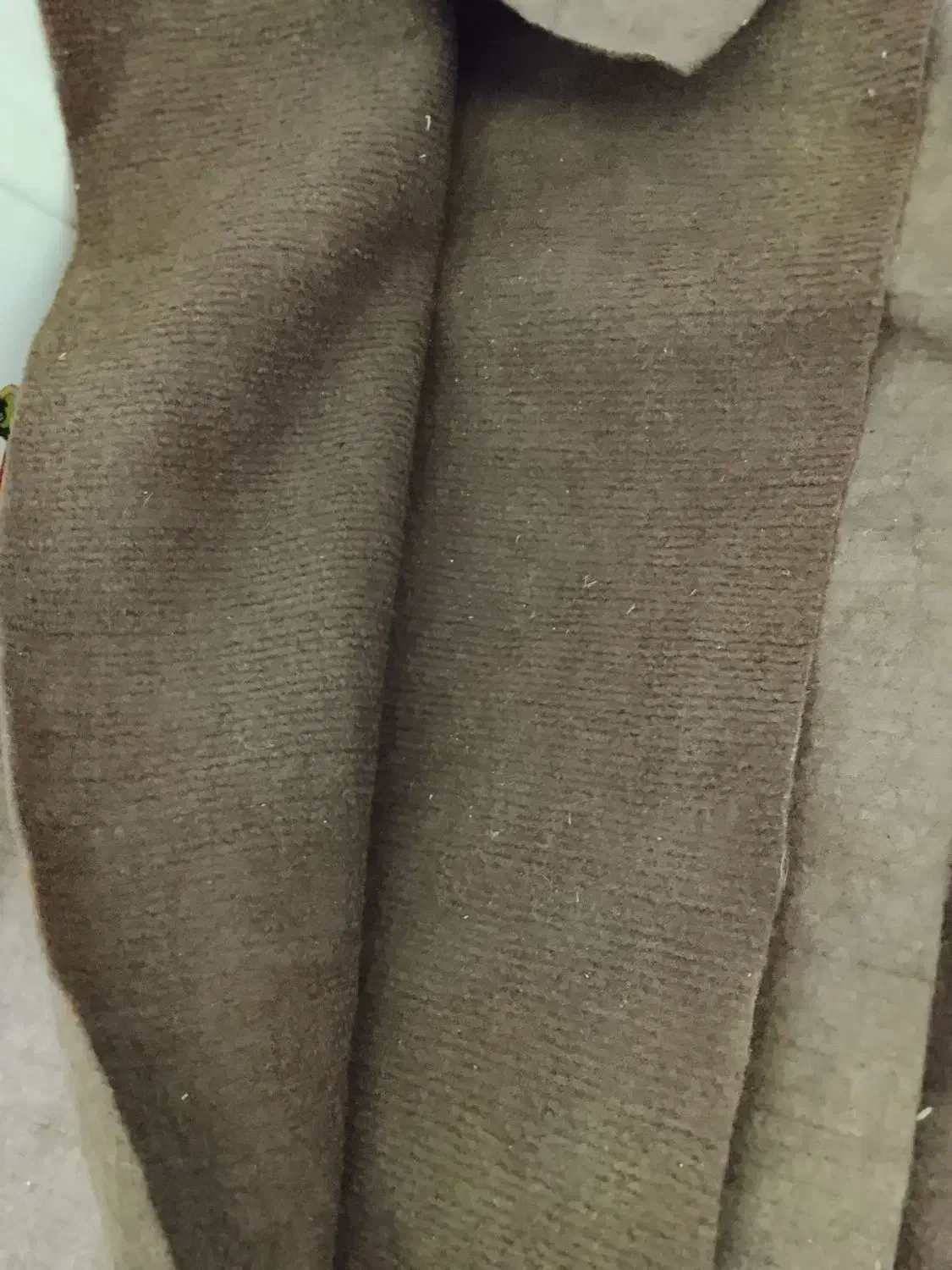 موکت|موکت|شاهرود, |دیوار