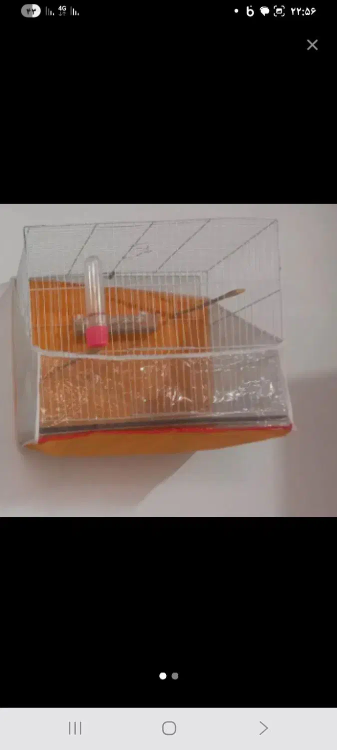 قفس وسایل معاوظه کفتر.|لوازم جانبی حیوانات|تربتحیدریه, شهرک ولیعصر|دیوار