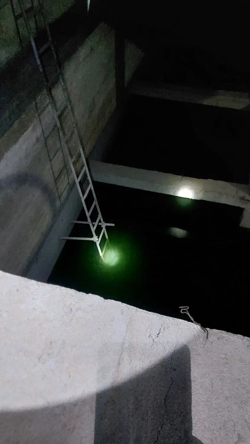 کار پرورش ماهی یا گلخانه مشارکتی|ماهی|جهرم, |دیوار