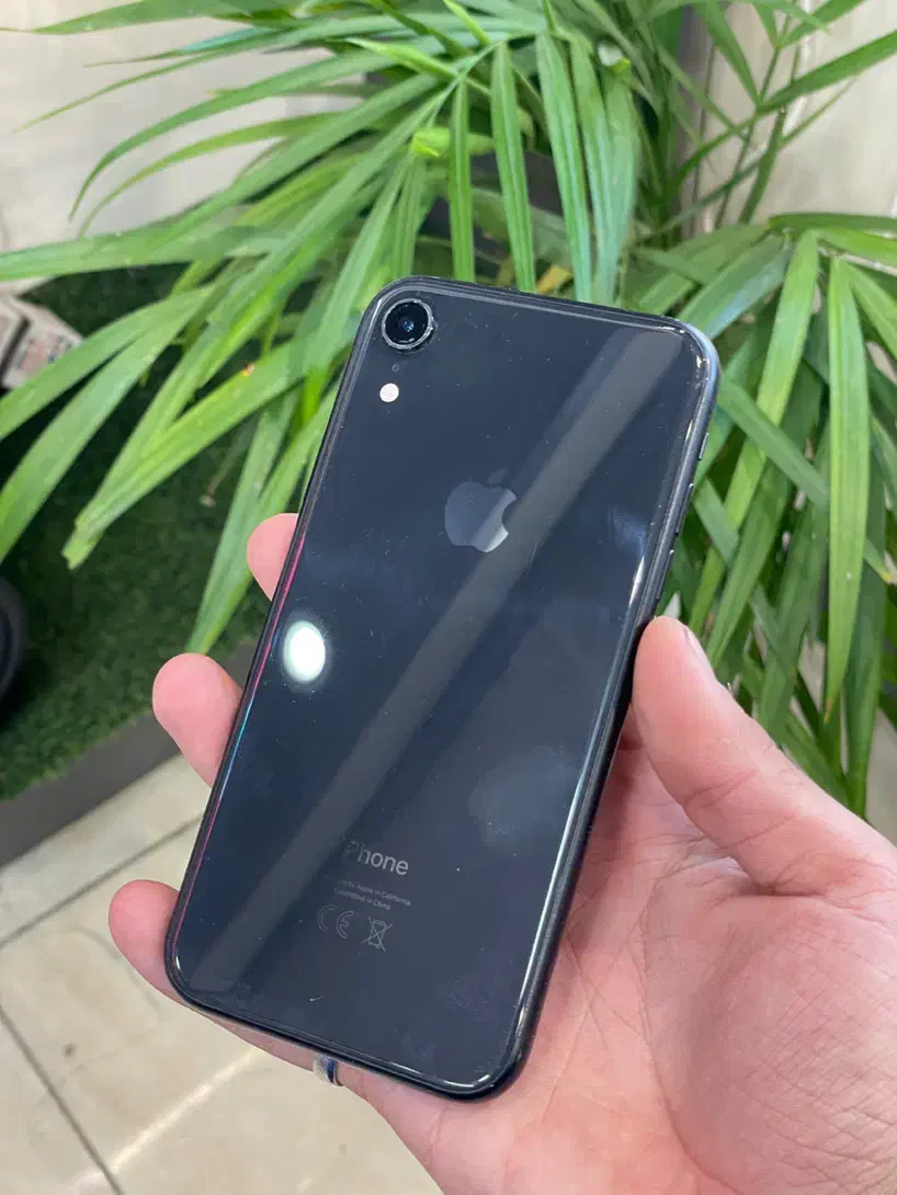آیفون xr زبر فیمت شدید پول نیازم|موبایل|رشت, یخسازی|دیوار
