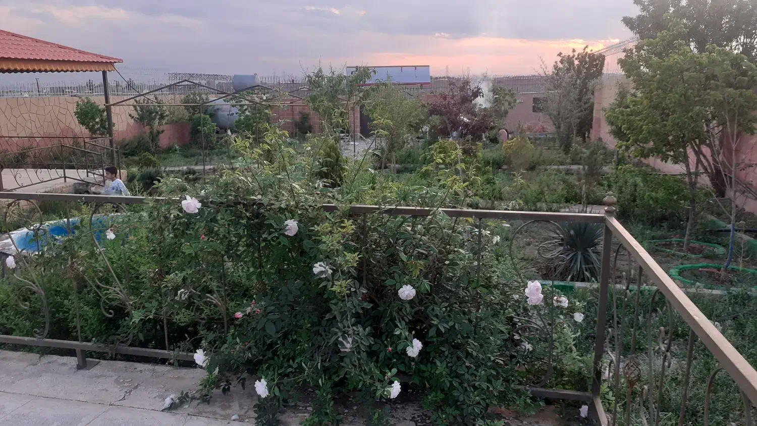 باغ هزار متری کلاکوب جاده کلات|فروش خانه و ویلا|مشهد, کلاکوب|دیوار