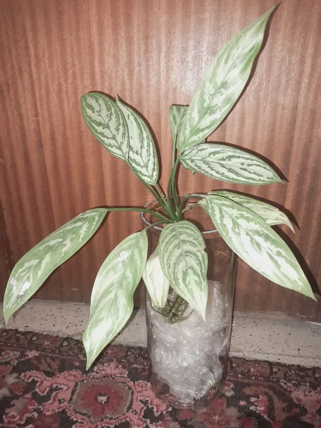 گلدان|صنایع دستی و سایر لوازم تزئینی|تهران, علم و صنعت|دیوار