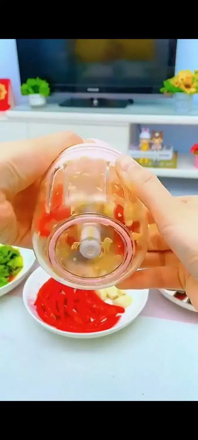 مینی خردکن|خردکن، آسیاب، غذاساز|اصفهان, شاه پسند|دیوار