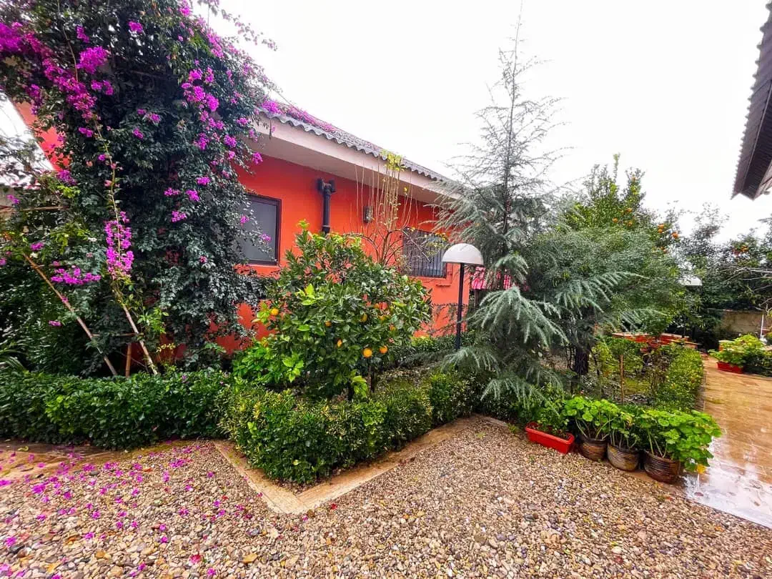 فروش ویلا اوایل دالخانی  (کلا یه بن)|فروش خانه و ویلا|دالخانی, |دیوار