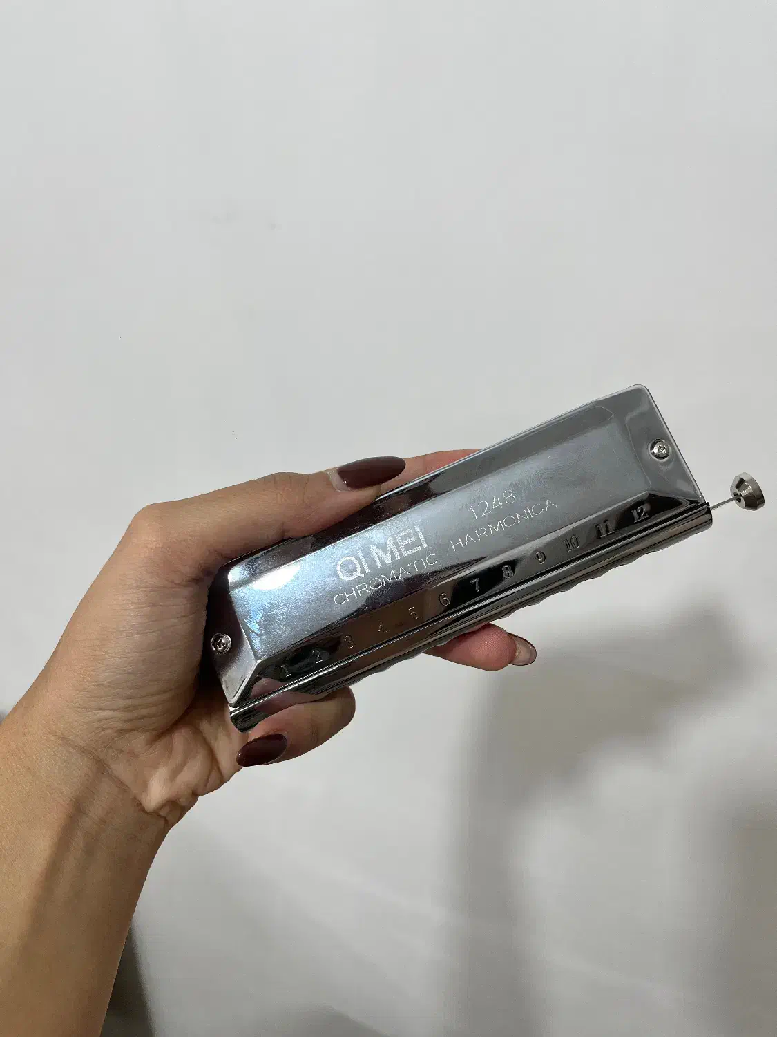 هارمونیکا|سازهای بادی|تهران, میدان ولیعصر|دیوار