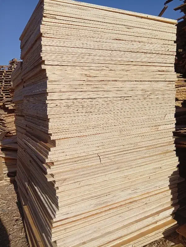 چندلایی و سه لایی در انواع ضخامت|عمده‌فروشی|رباط‌کریم, رباط‌کریم|دیوار