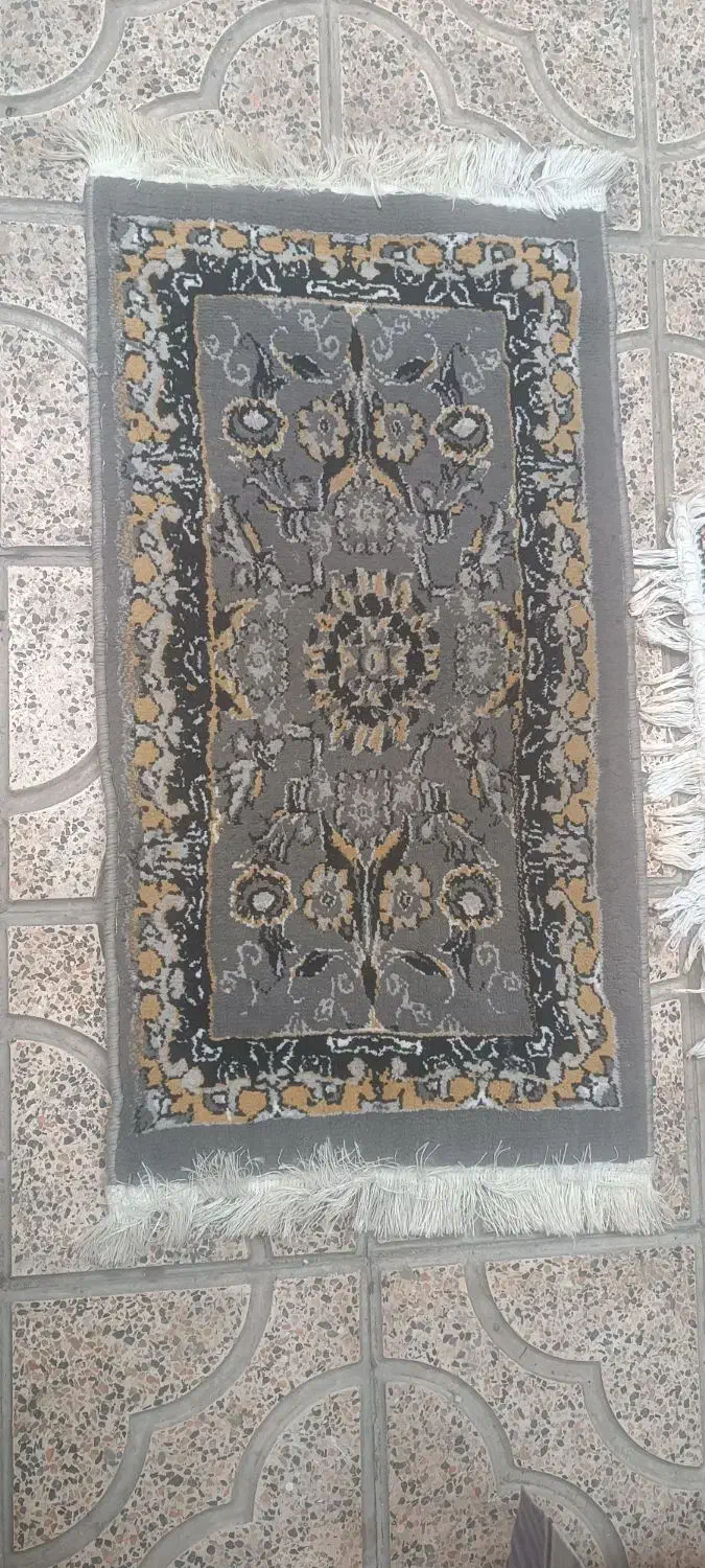 پادری|پادری|تهران, فلاح|دیوار