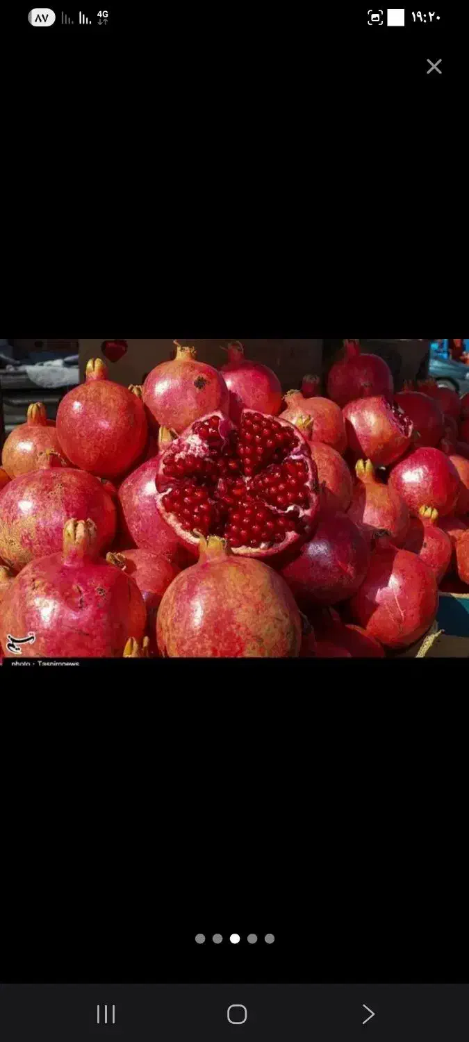 اجاره محصول باغ انار شما ب قیمت روز و چیدمان انار|خدمات باغبانی و درختکاری|شهرضا, |دیوار