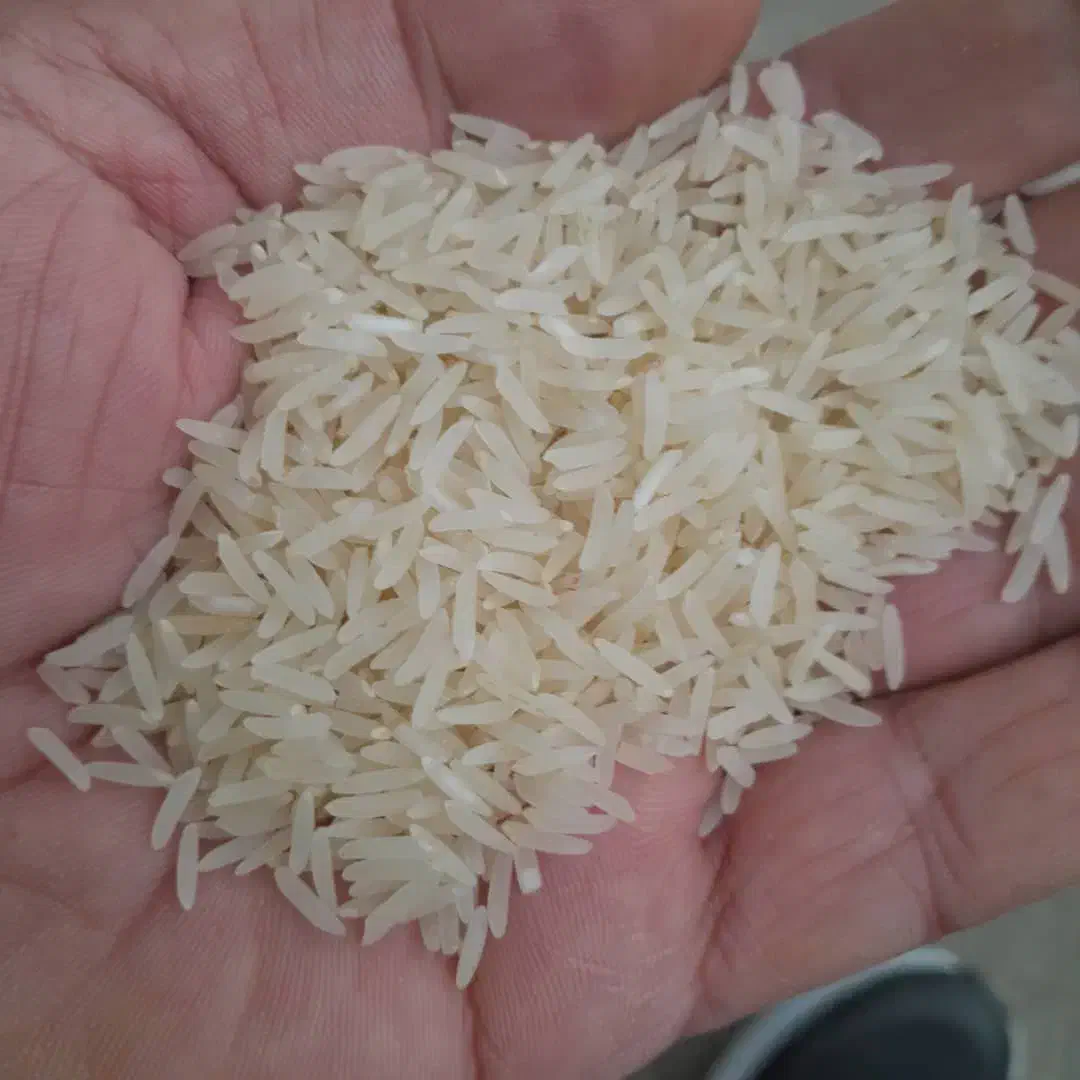 برنج|خوردنی و آشامیدنی|قائم‌شهر, |دیوار