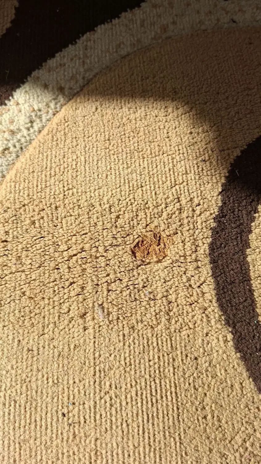 قالیچه آشپزخانه|فرش|اندیشه, اندیشه فاز ۵|دیوار