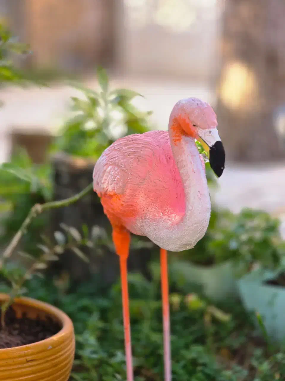 فلامینگو،|مجسمه، تندیس، ماکت|کرمان, |دیوار