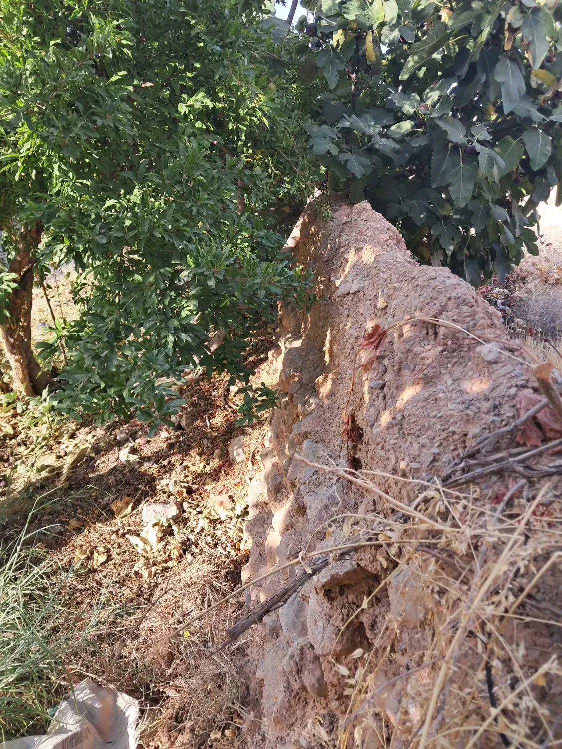 باغ شهری فاروق متراژ ۱۰۰۰متری|فروش خانه و ویلا|سیدان, |دیوار