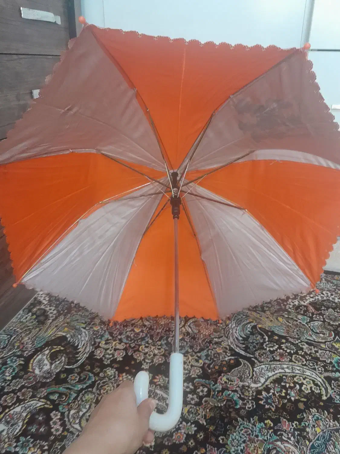 چتر|کوهنوردی و کمپینگ|تهران, نعمت‌آباد|دیوار