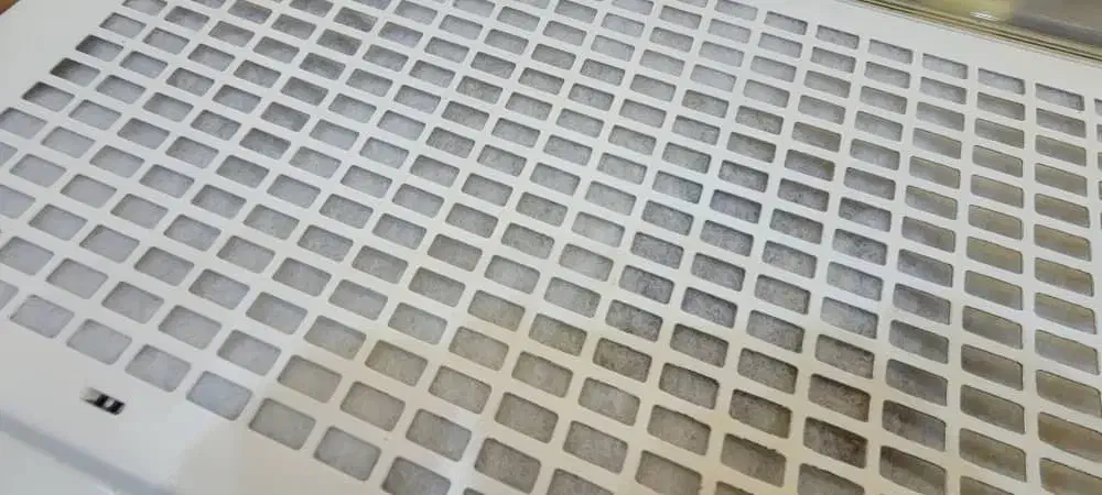 هود MAS|هود|شیراز, کلاهدوز|دیوار