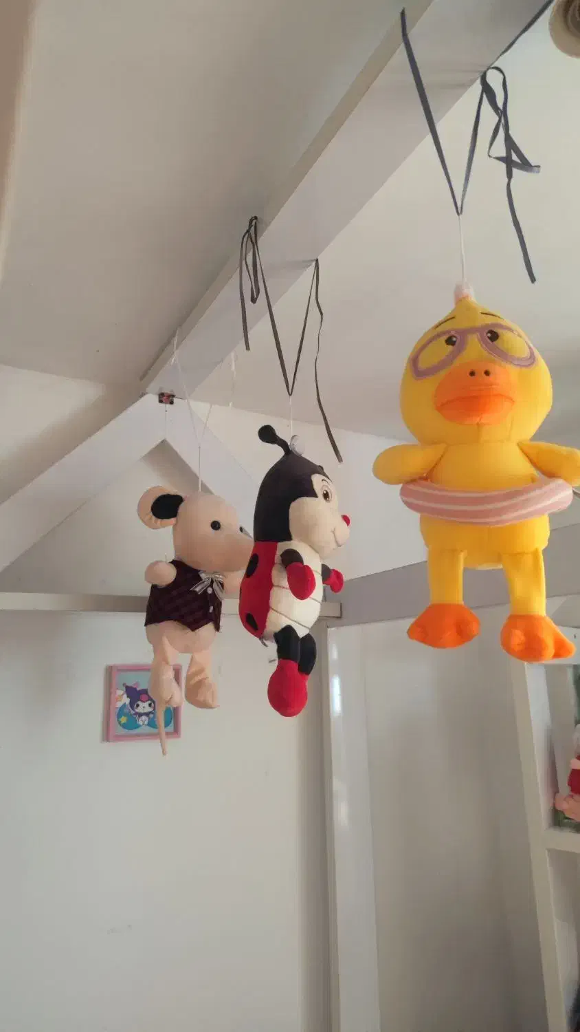 تخت خواب کودک نوجوان نو|تخت و سرویس خواب|کیاشهر, |دیوار