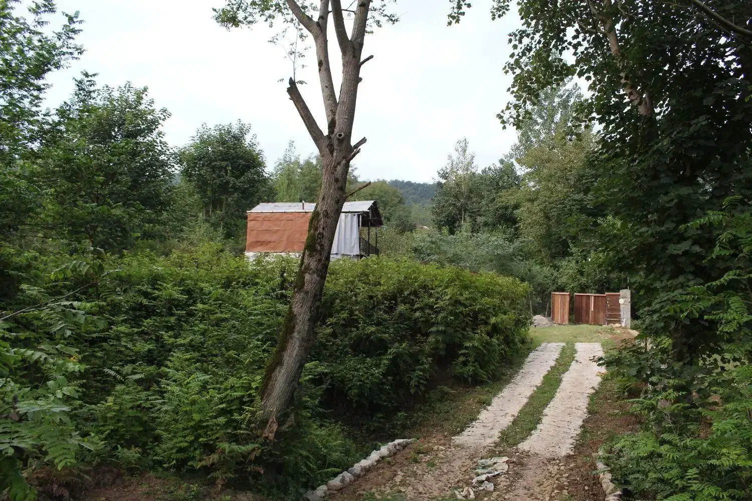 اجاره روزانه کلبه جنگلی سرای گلشن در لفور|اجارهٔ کوتاه‌مدت ویلا و باغ|آلاشت, |دیوار