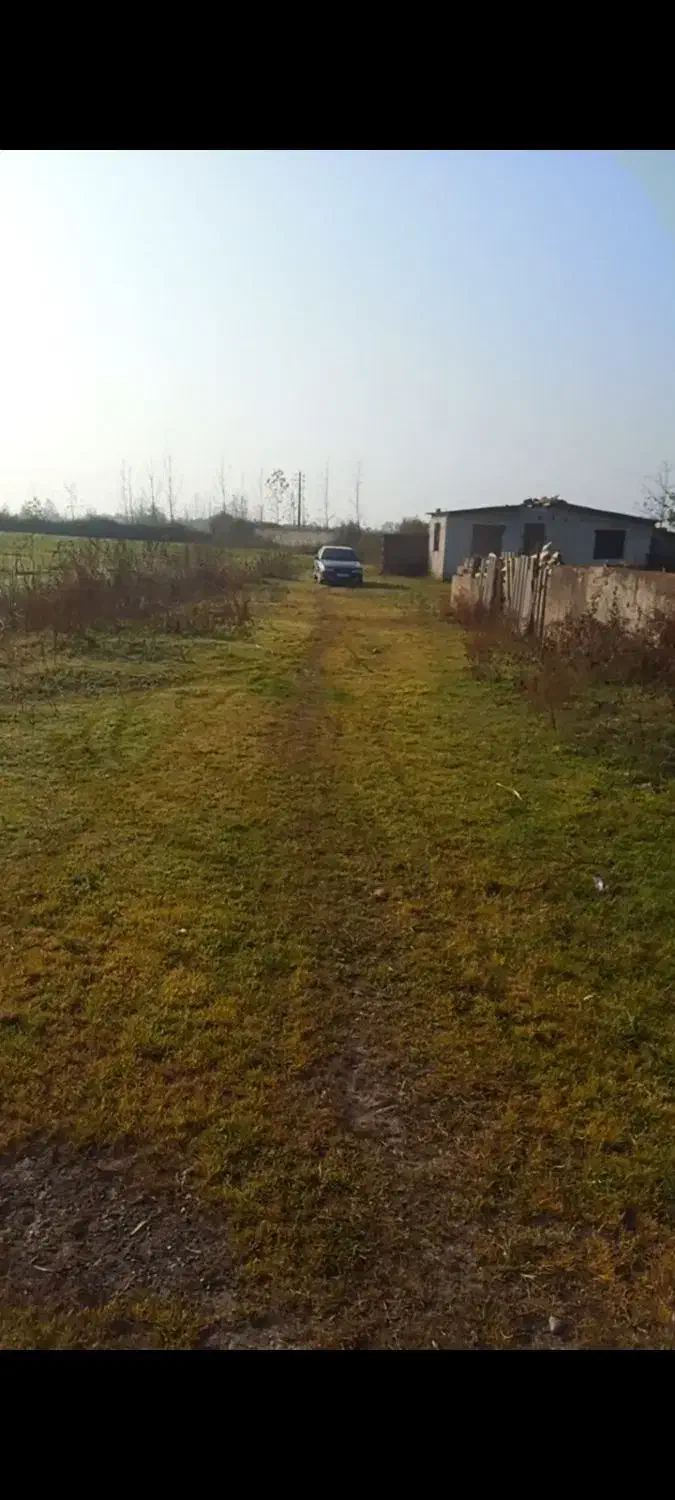 املاک مادر گیلان روستای نبی دهکاه|فروش دفتر صنعتی، کشاورزی، تجاری|کیاشهر, |دیوار