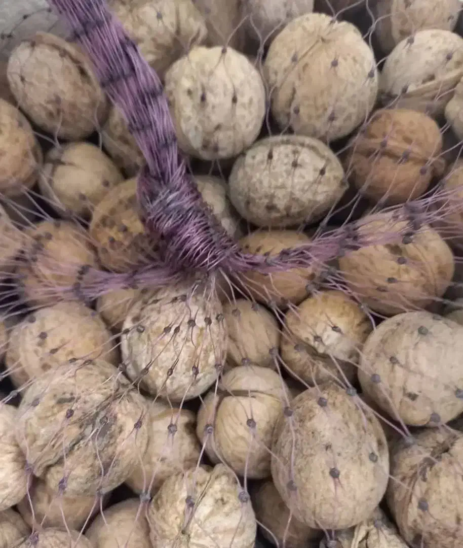 گردوی ایرانی (زیر قیمت بازار)|خوردنی و آشامیدنی|خورموج, |دیوار