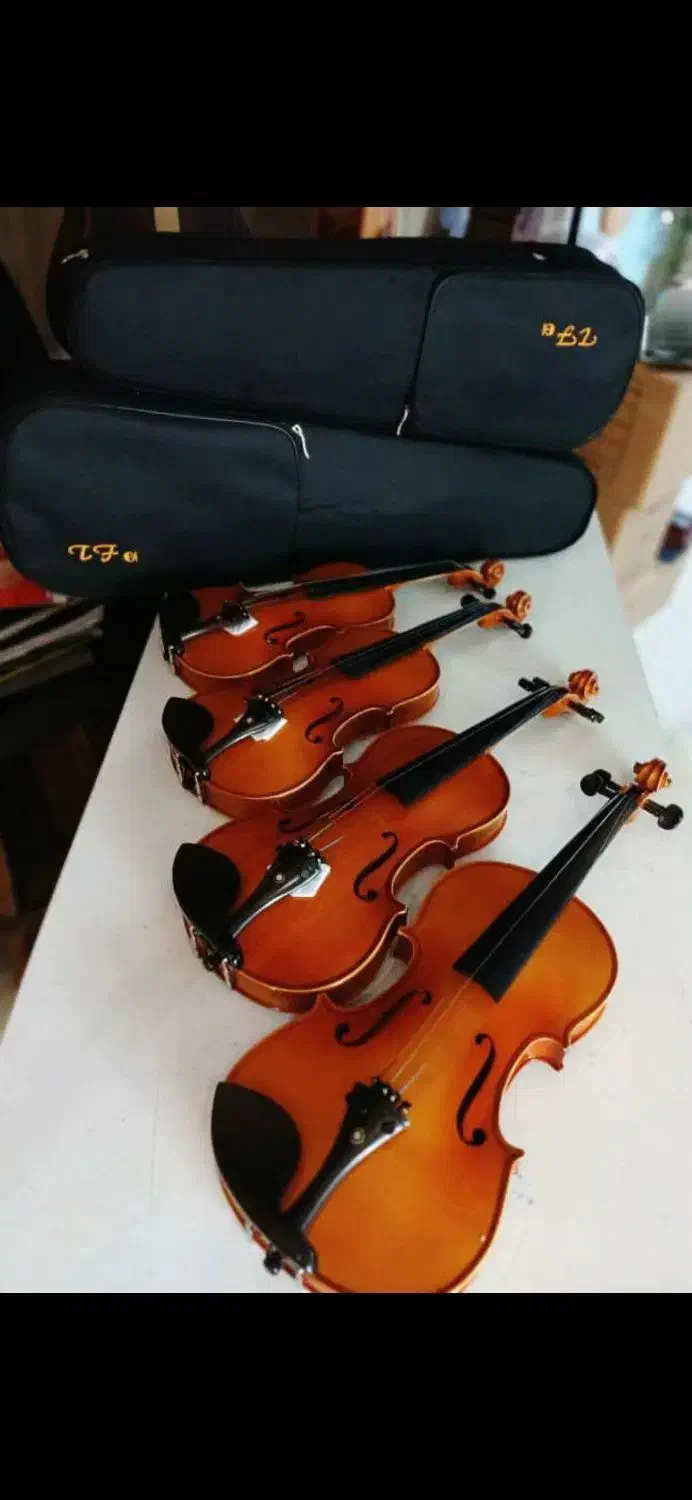 ++ ویولن ++|ویولن|تهران, نازیآباد|دیوار