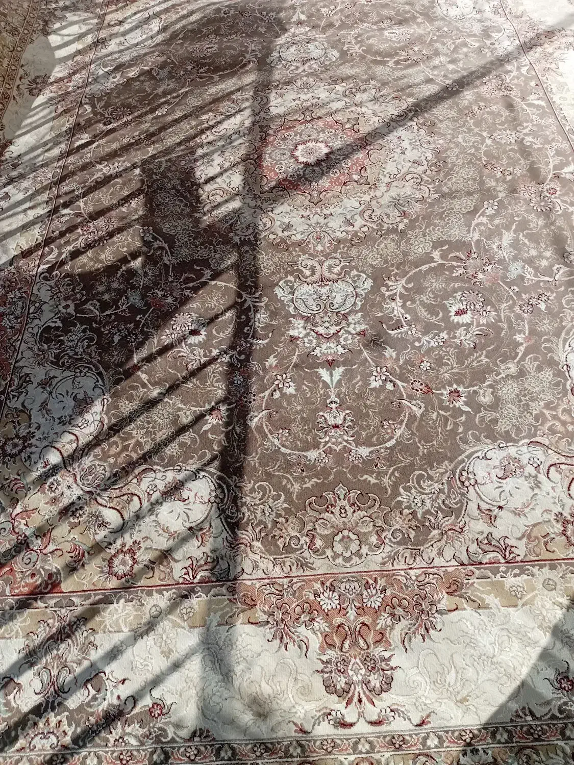 فرش ۹متری|فرش|نیشابور, کلاغان|دیوار