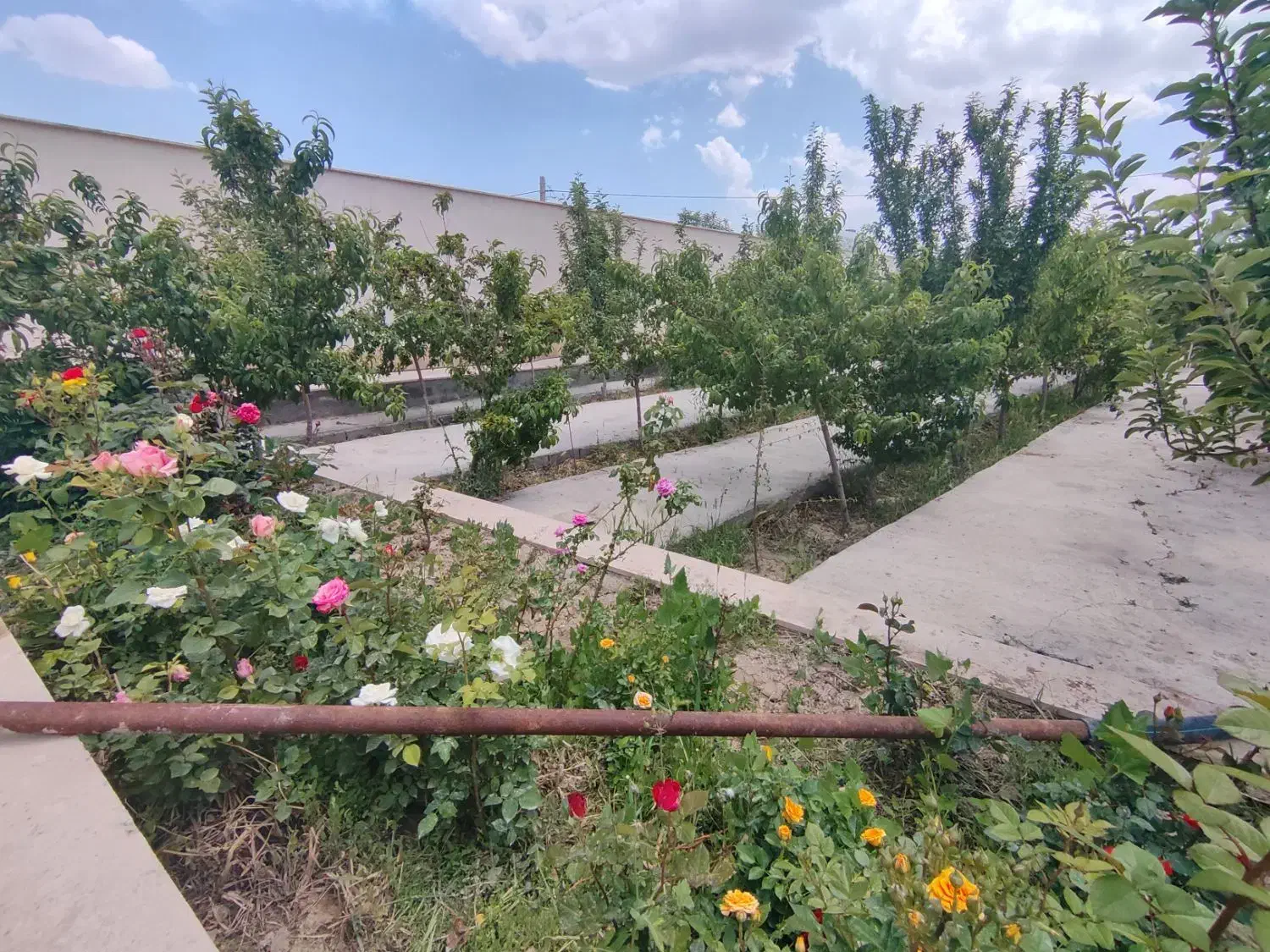 (ویلا باغ ۲۰ ساله متری ۸ ) فرصت خرید برای چند روز|فروش خانه و ویلا|محمدشهر, محمدشهر|دیوار