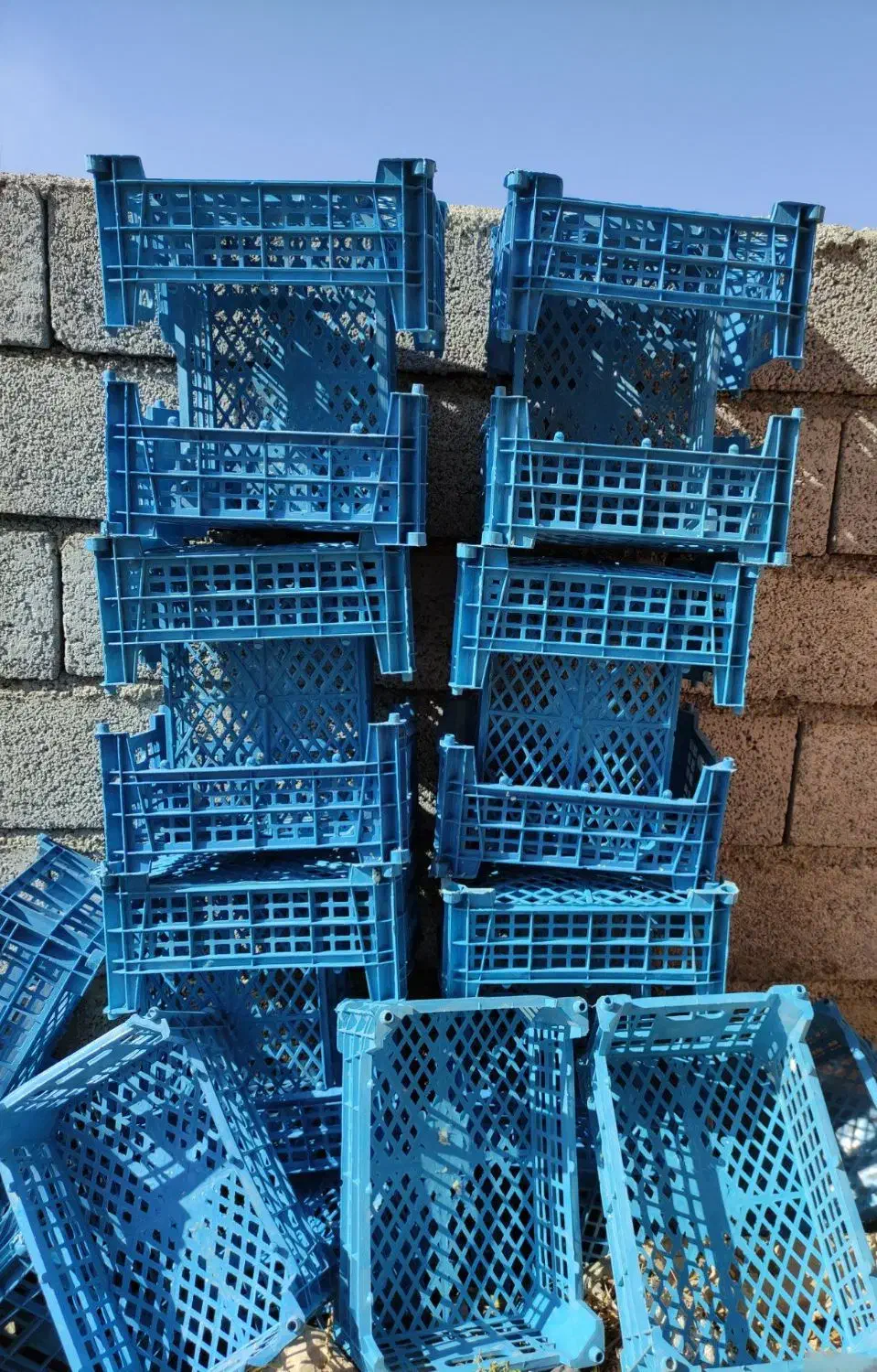 سبد پنج کیلویی مناسب سردخانه|ظروف نگهدارنده، پلاستیکی، یکبارمصرف|زنجانرود, |دیوار