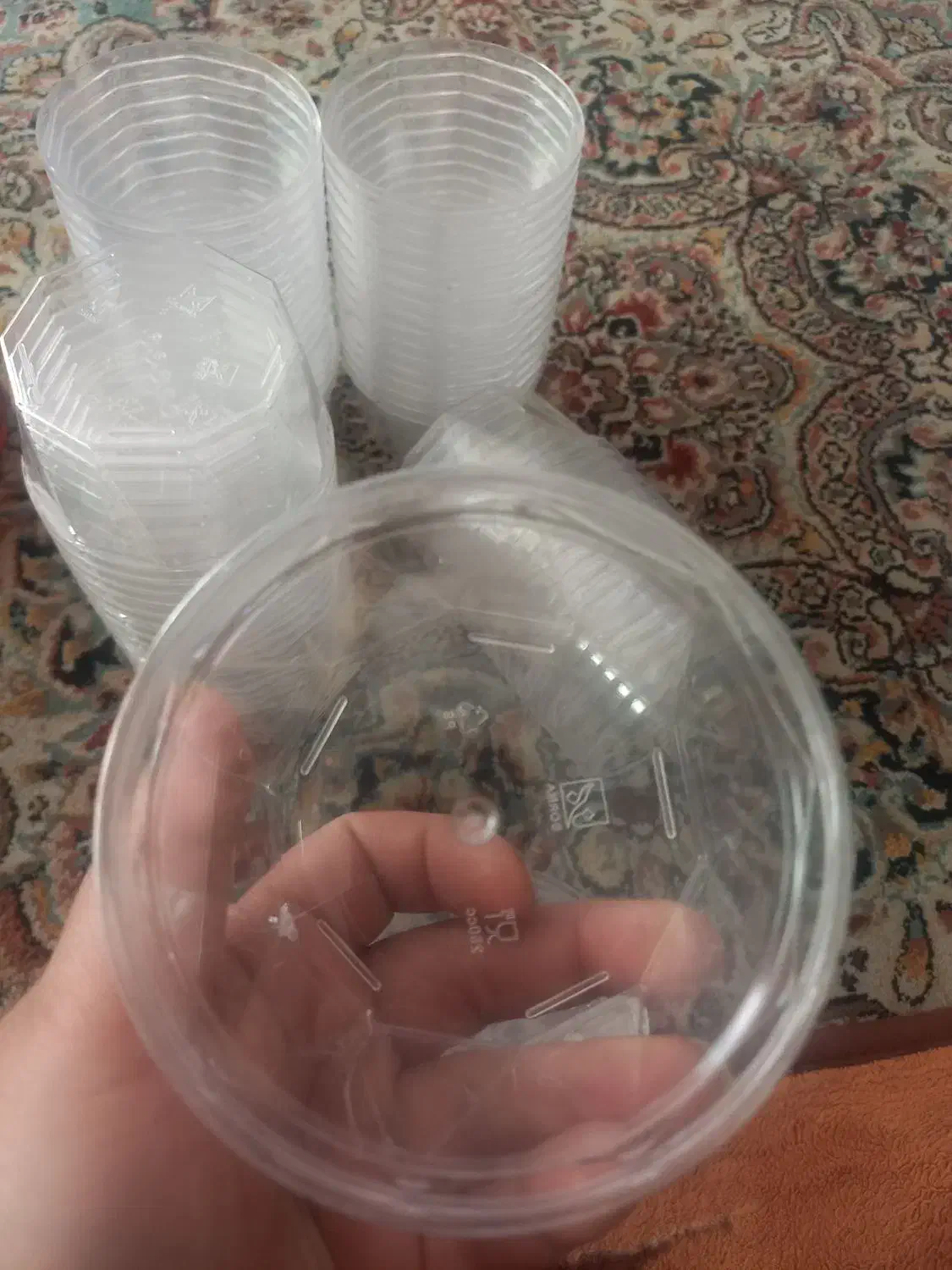 ظرف درب دارتلقی|ظروف نگهدارنده، پلاستیکی، یک‌بارمصرف|قم, نوبهار|دیوار