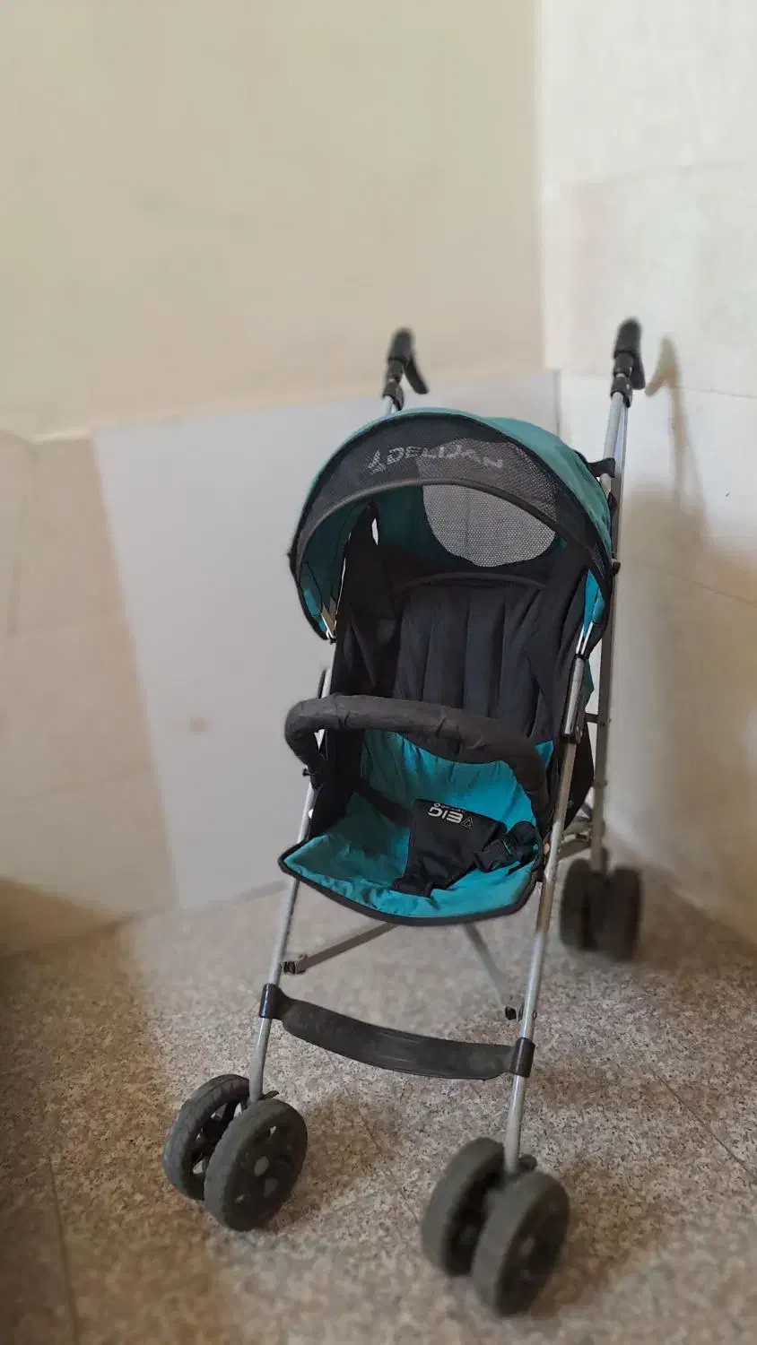 کالسکه ی دسته عصایی دلیجان|کالسکه و لوازم جانبی|تهران, جمهوری|دیوار