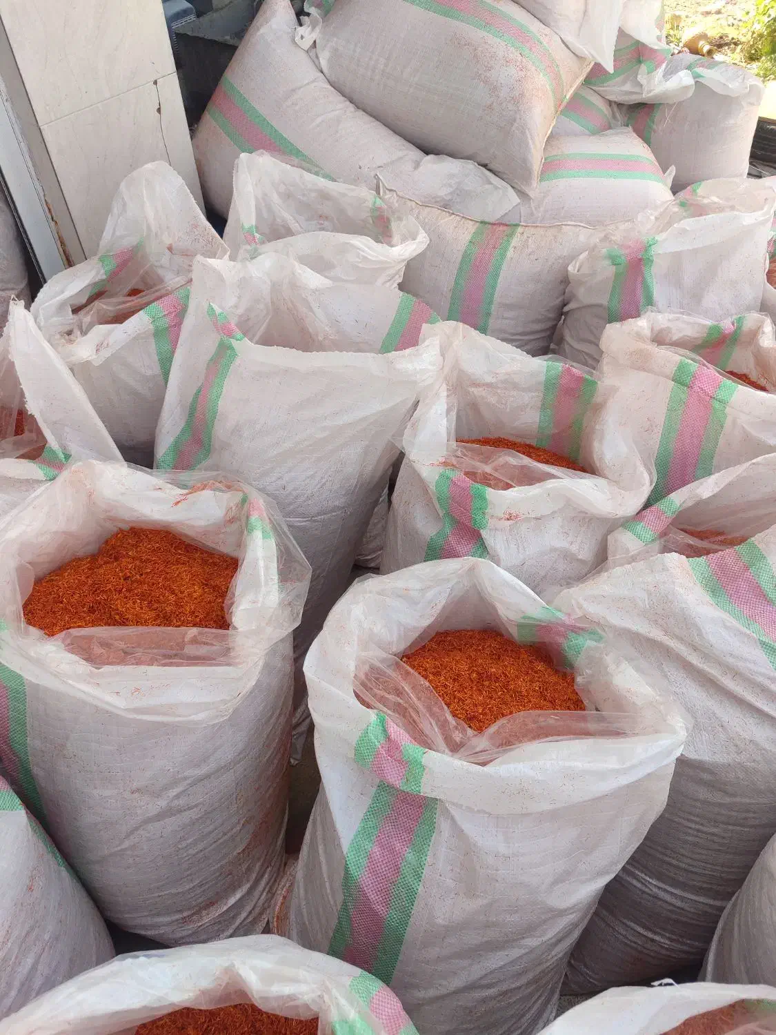 معامله گل گلرنگ و بذر|گل و گیاه طبیعی|مرودشت, دولت آباد|دیوار