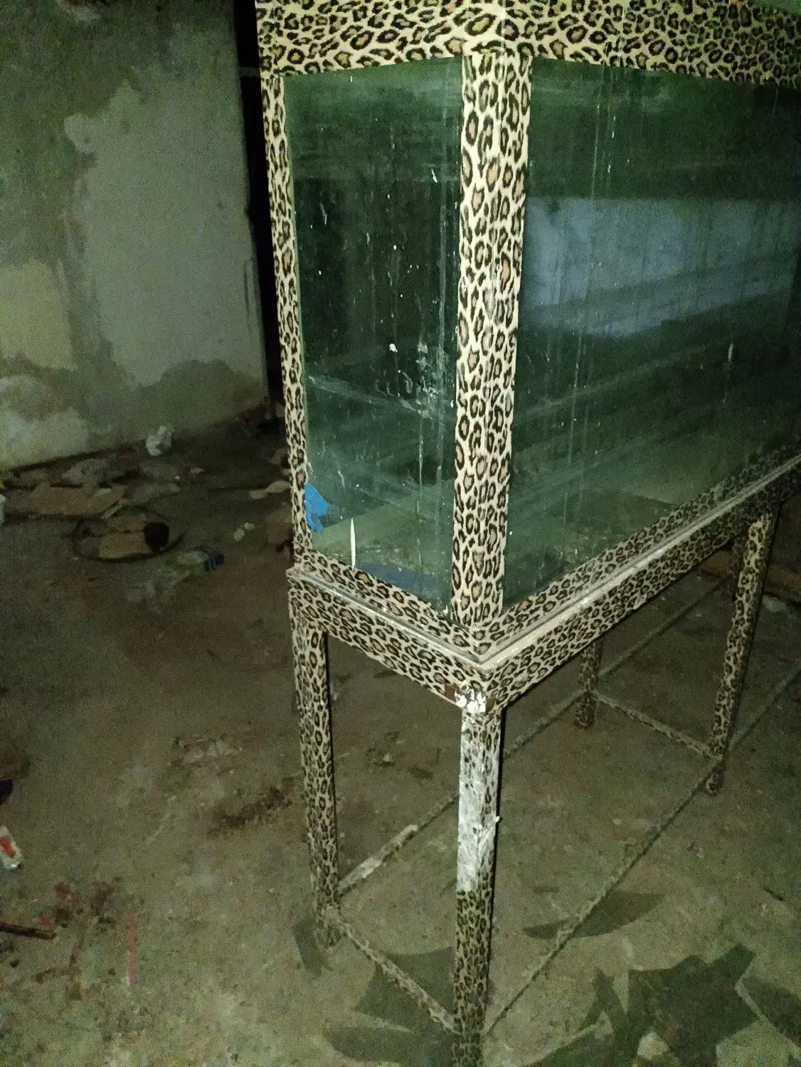 آکواریوم بزرگ|ماهی|بیرجند, |دیوار