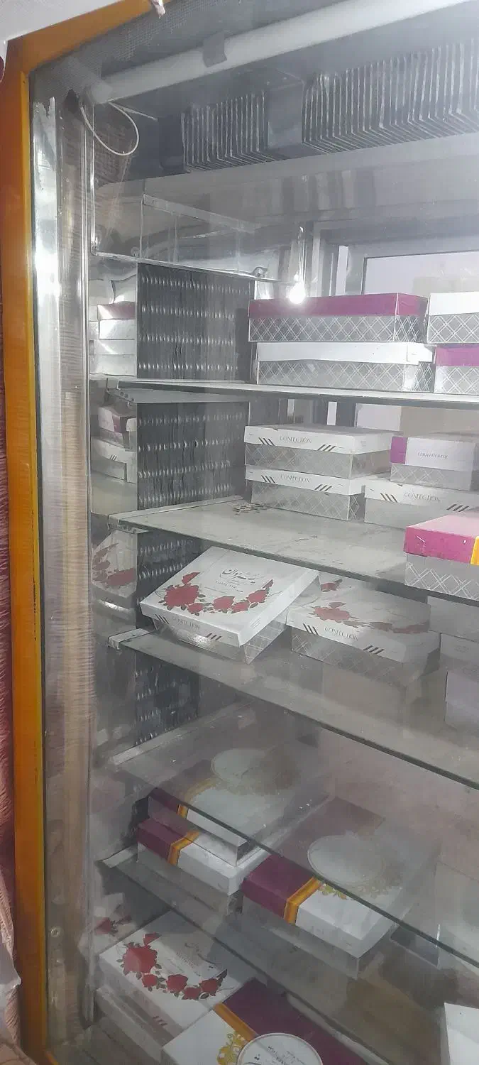یخچال الکترو استیل ایستاده ویترینی . دوطرف نما|فروشگاه و مغازه|نیشابور, گنبد سبز|دیوار