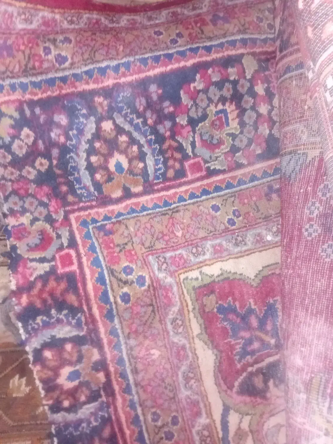 فرش دست باف|فرش|شادمهر, |دیوار