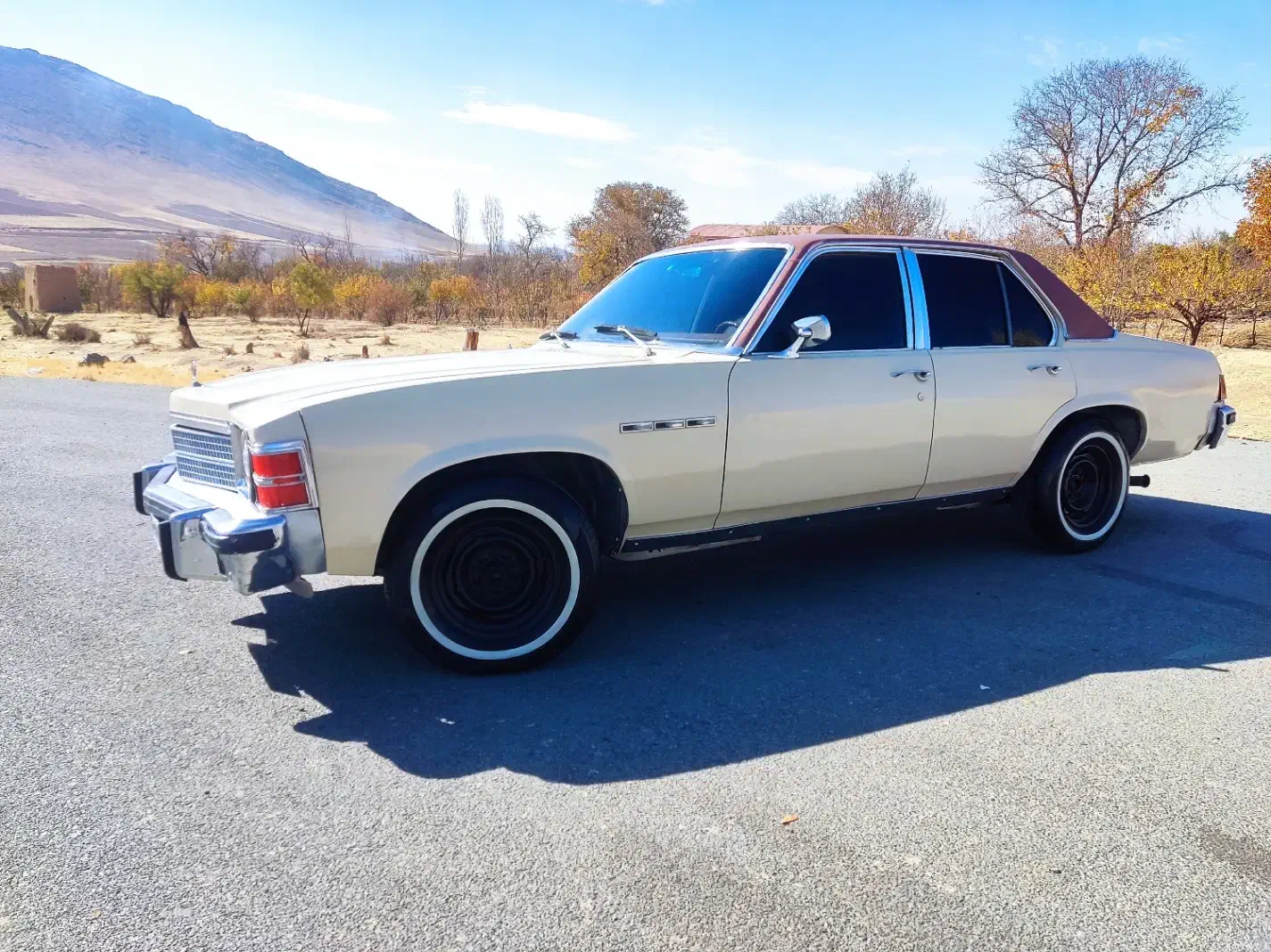 بیوک مدل ۶۶ بی ۳|خودرو کلاسیک|تهران, جوادیه|دیوار