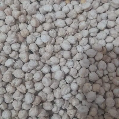 نخودبهاره|خوردنی و آشامیدنی|کرمانشاه, |دیوار