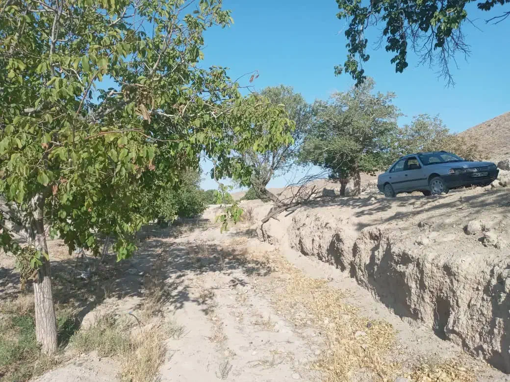 زمین شهر نراق|فروش زمین و ملک کلنگی|دلیجان, |دیوار