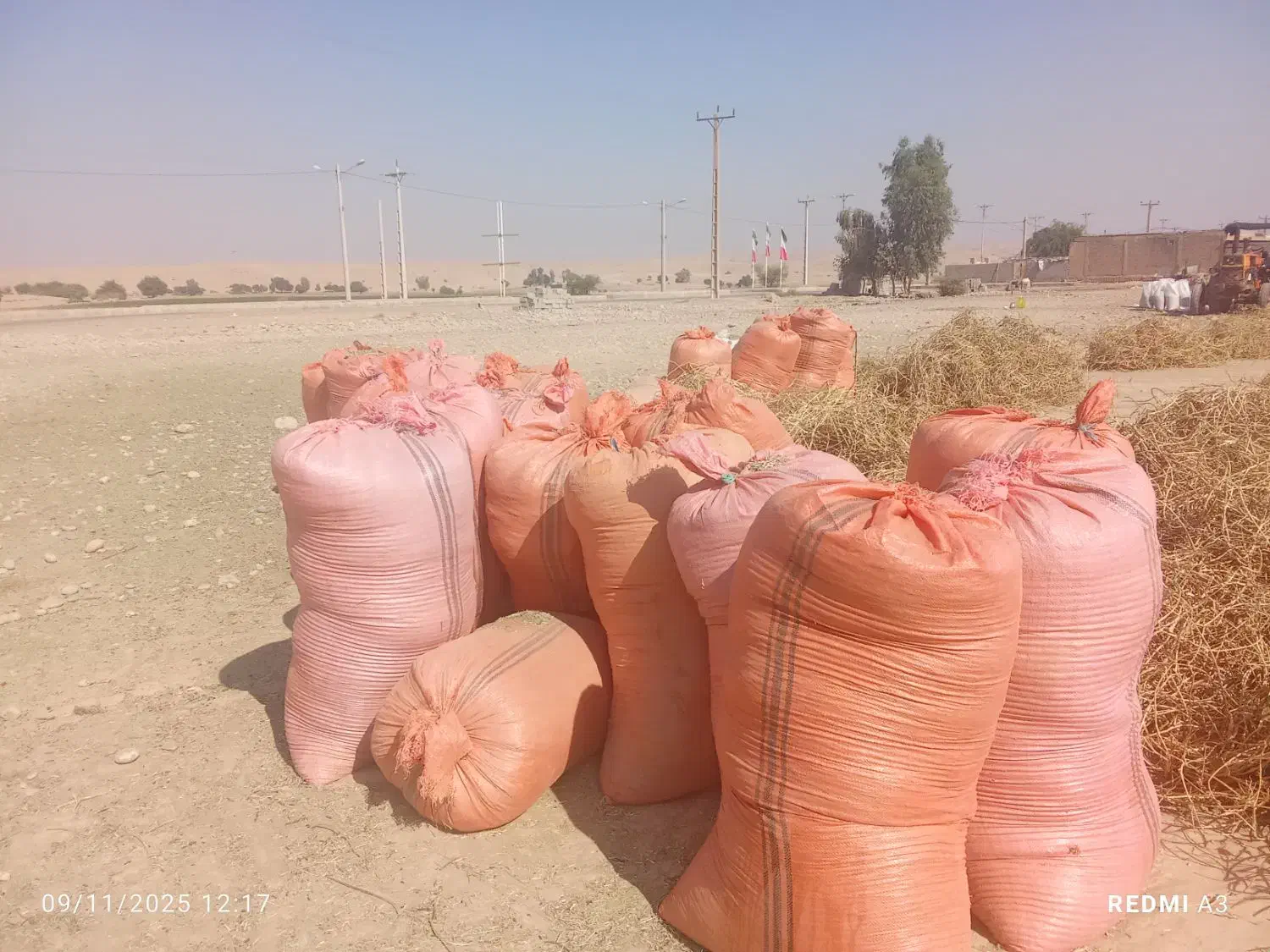 کاه ماش|عمده‌فروشی|اندیمشک, |دیوار