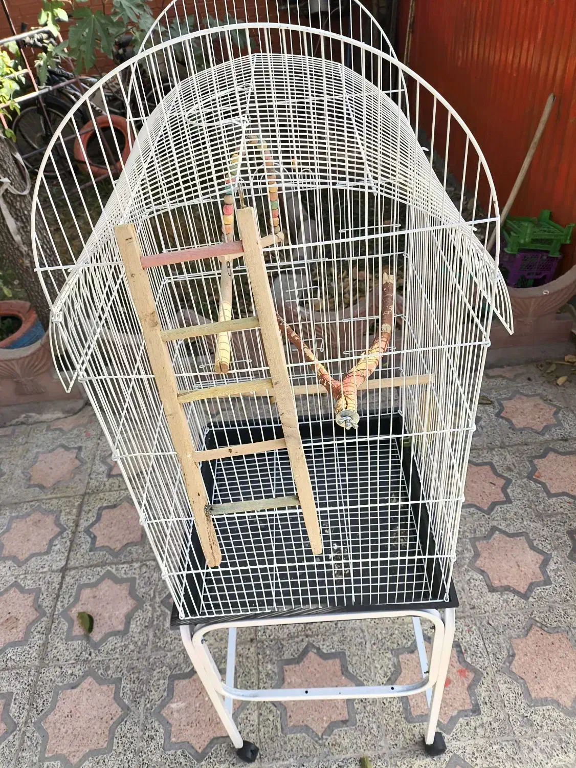 قفس پرنده کاسکو و عروس هلندی|لوازم جانبی حیوانات|اصفهان, آبشار|دیوار