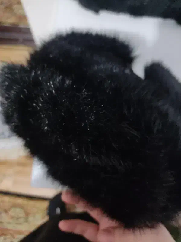 کلاه مو، موی حیوان|لباس|مهاباد (آذربایجان غربی), |دیوار