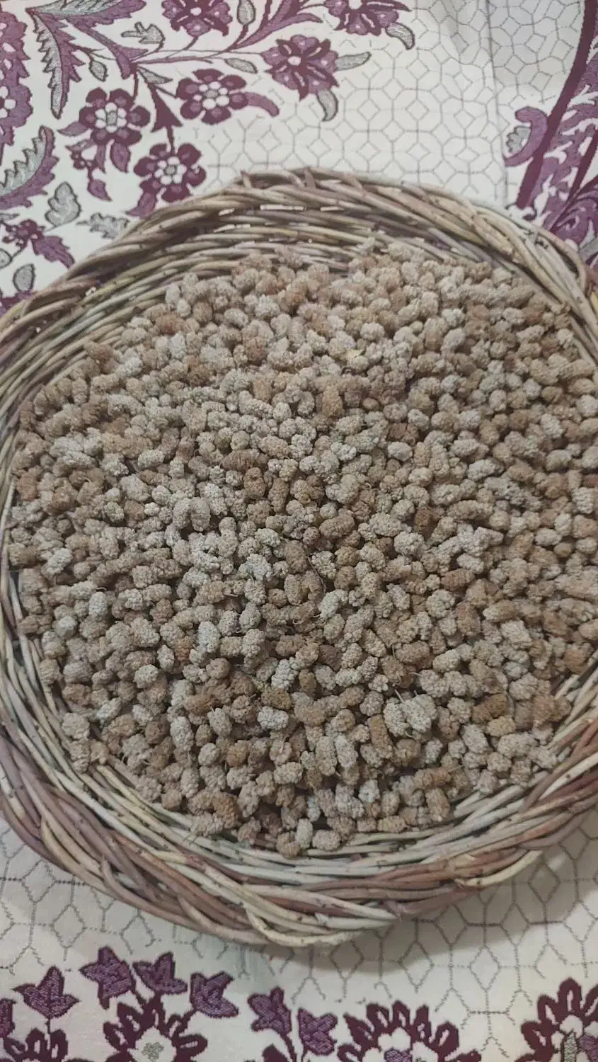 برگه هلو و جوز قند، توت خشک|خوردنی و آشامیدنی|تفرش, |دیوار