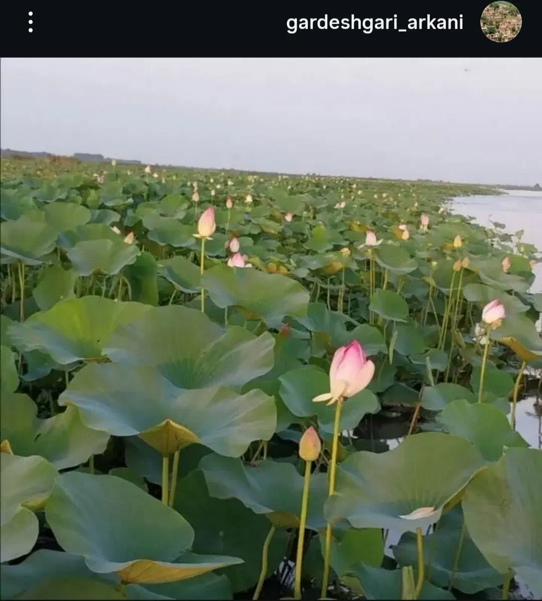 تور خانوادگی ودوستانه طبیعت گردی باسواری|تور و چارتر|بندر انزلی, پاسداران|دیوار