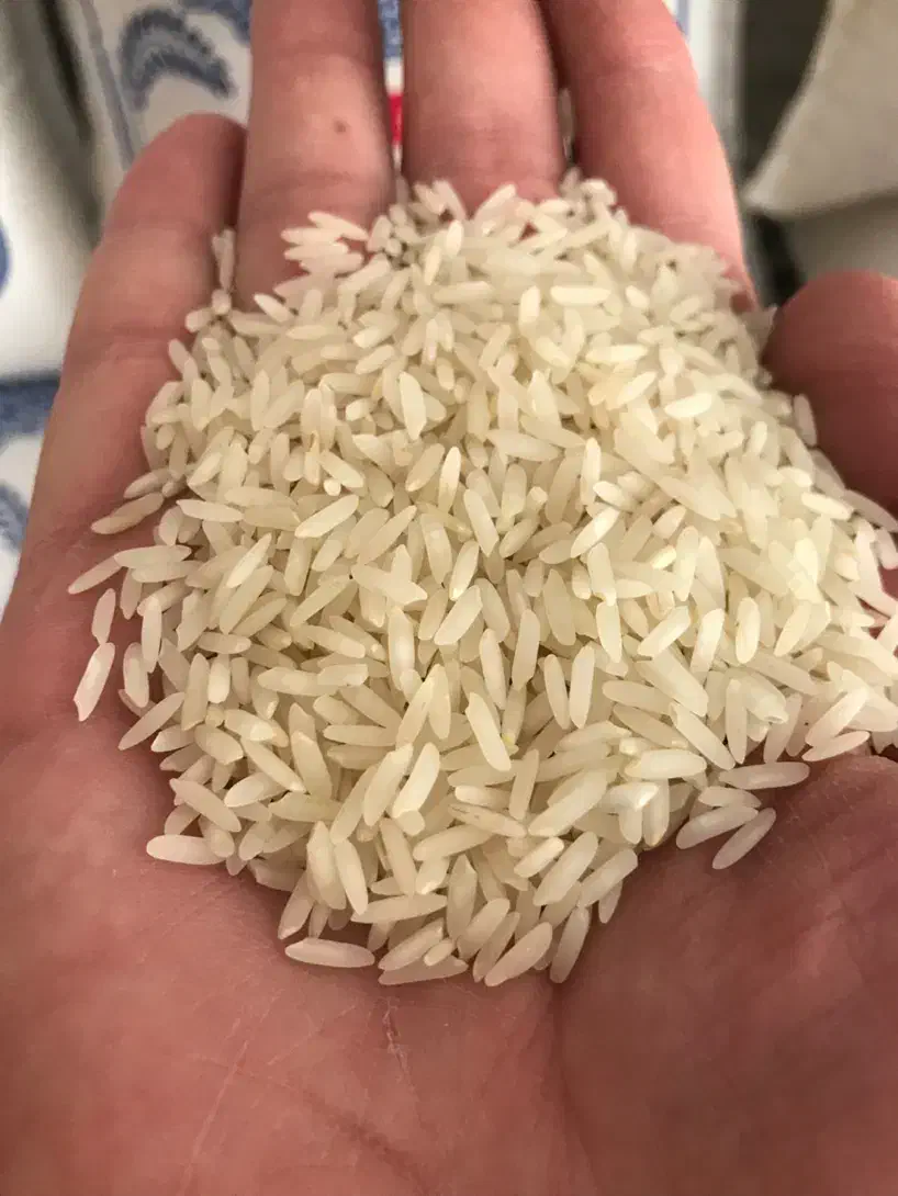 فروش برنج کشت دوم فریدونکنار سوپر ویژه ضمانتی|خوردنی و آشامیدنی|بجنورد, |دیوار