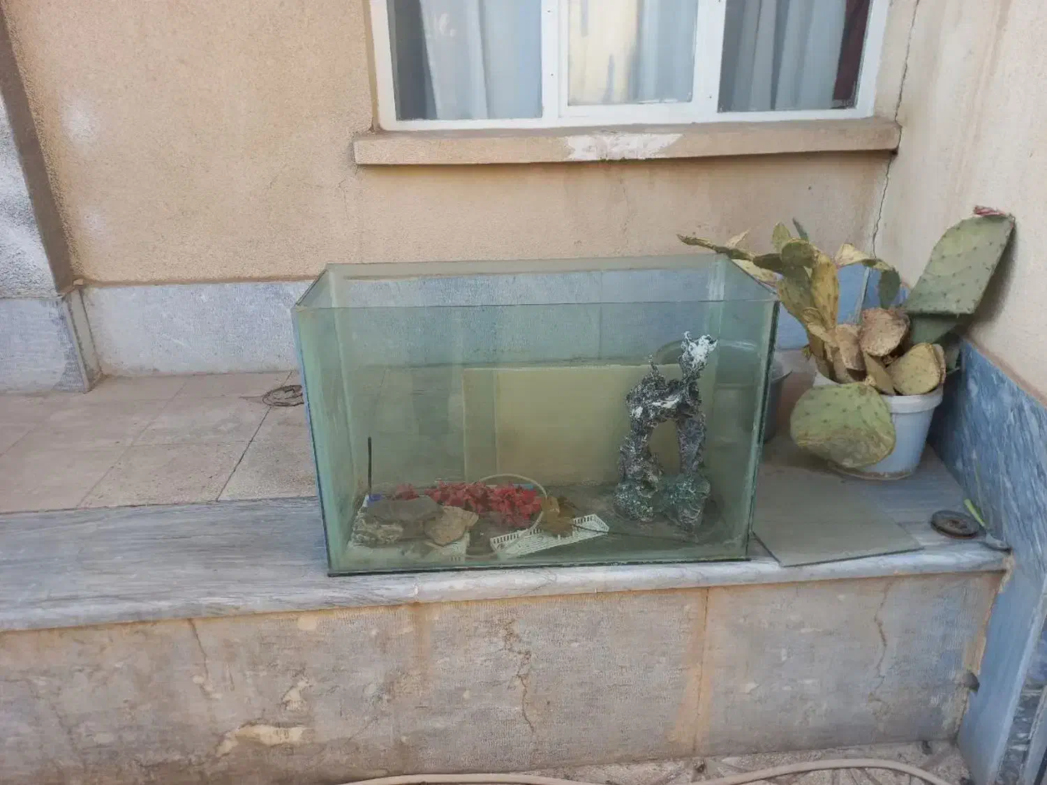 آکواریوم بزرگ|ماهی|قم, انصار‌الحسین|دیوار