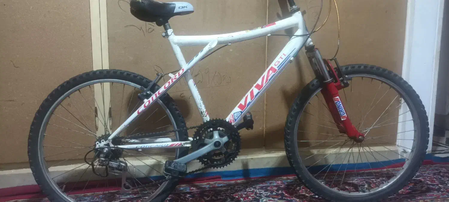 دوعدد دوچرخه پسرانه ودخترانه|دوچرخه، اسکیت، اسکوتر|فردیس, سپید دشت|دیوار