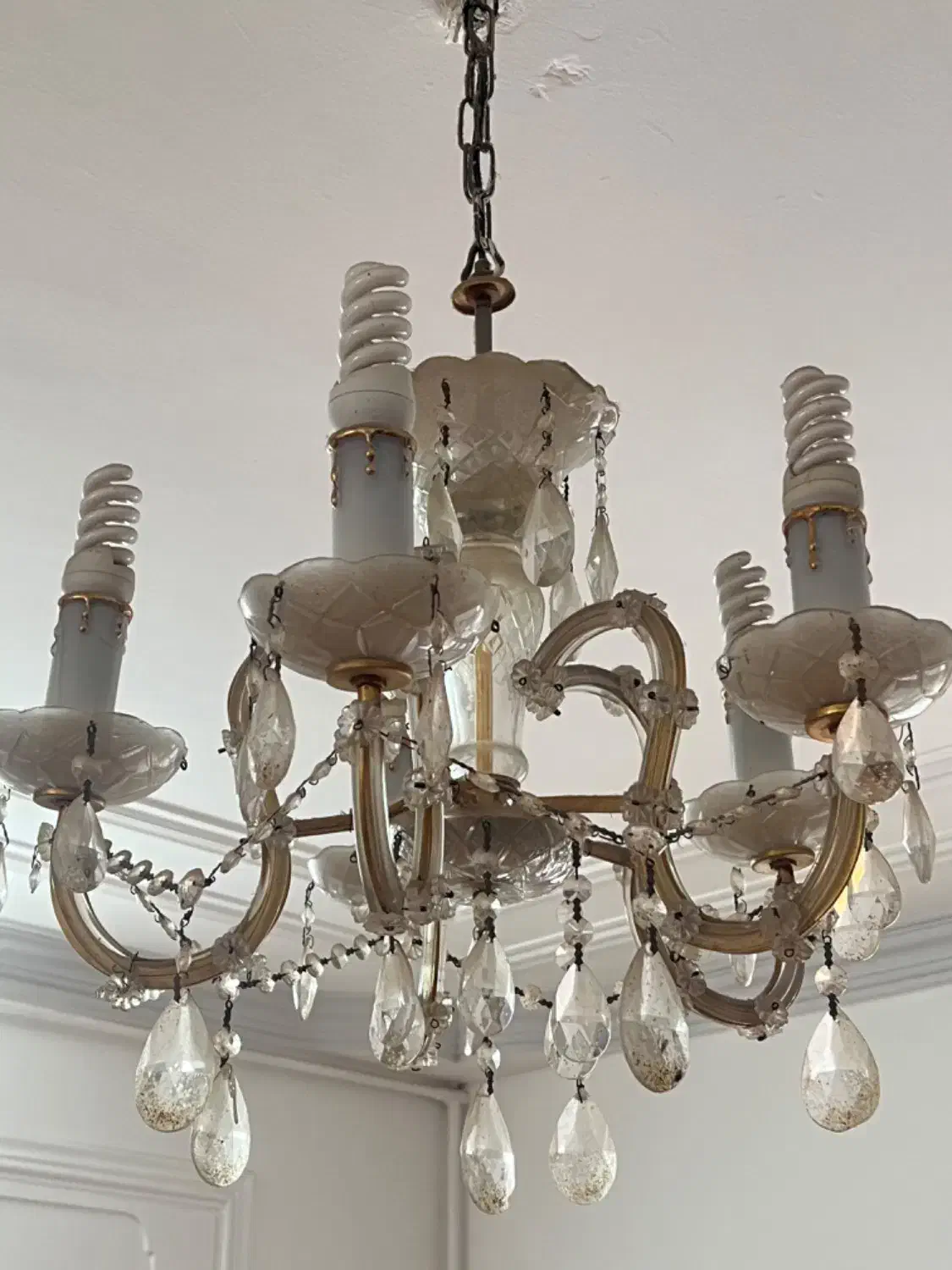 لوستر|لوستر و چراغ آویز|زاهدان, |دیوار