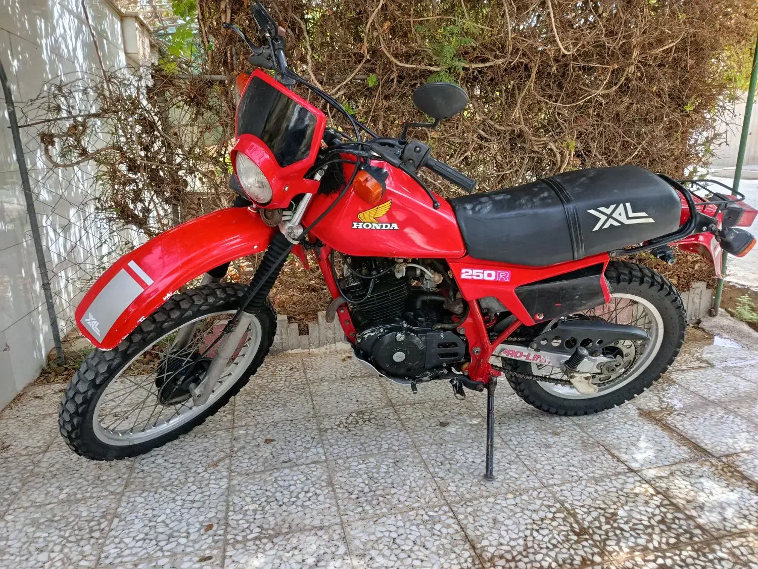 هندا ایکسل ۲۵۰|موتورسیکلت|تهران, تختی|دیوار