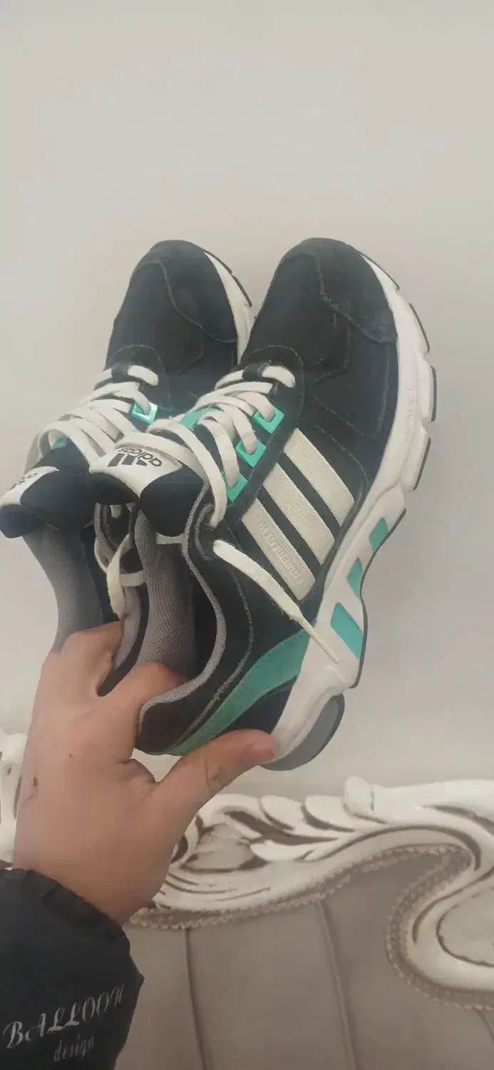 اکومنت سایز ۳۷|کیف، کفش، کمربند|شاهدشهر, |دیوار