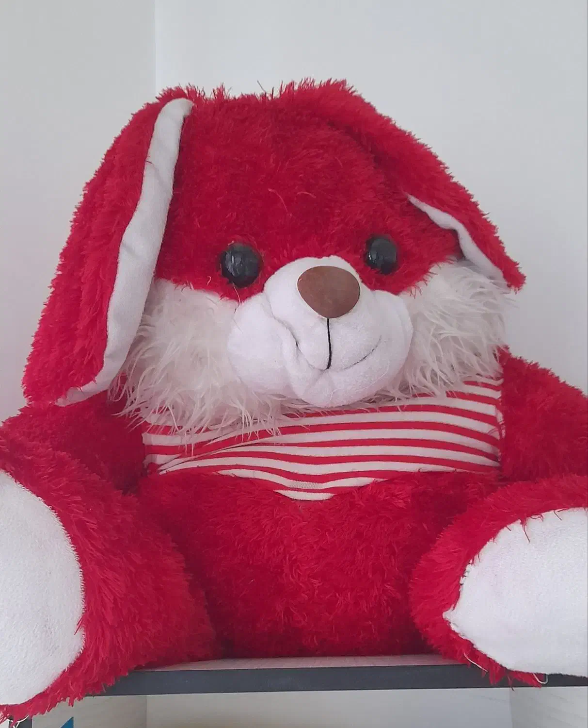 عروسک خرس|اسباب‌بازی بچه|کیاشهر, |دیوار