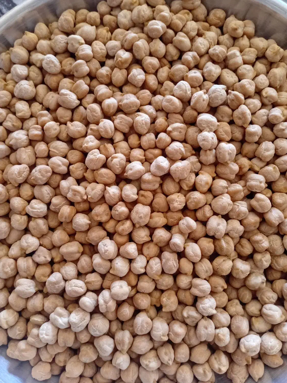 نخود درشت|خوردنی و آشامیدنی|بزینه رود, |دیوار