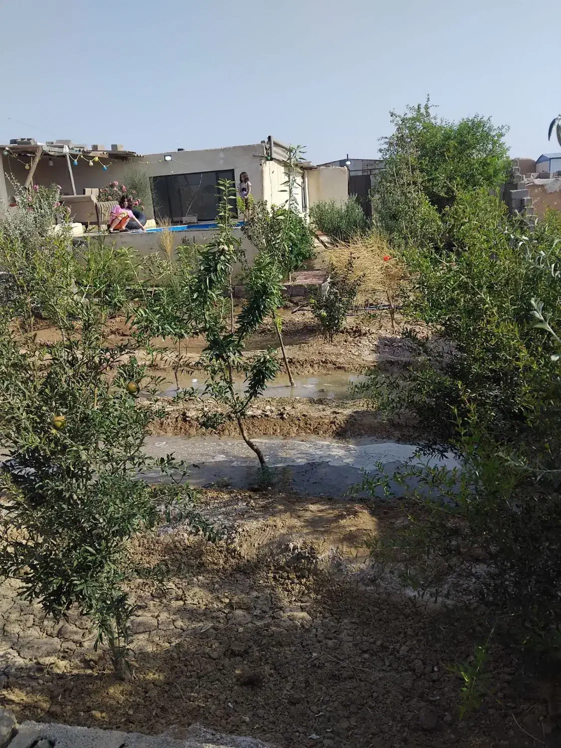 باغچه ۳۰۰متری|فروش خانه و ویلا|ماهدشت, |دیوار